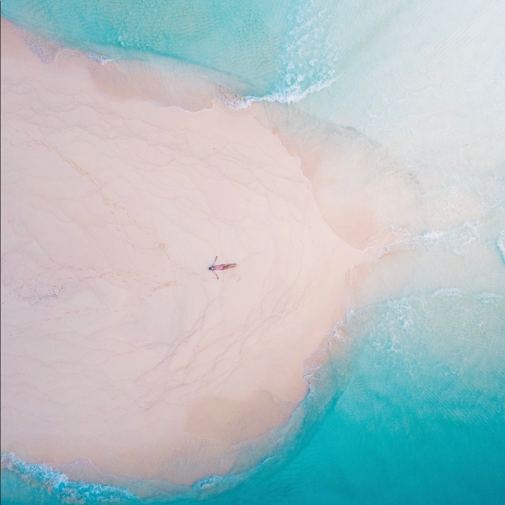 Meet your Posher, Lily